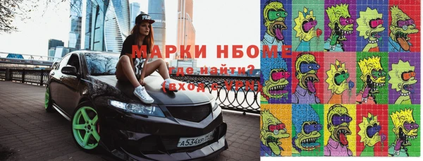 дмт Богданович
