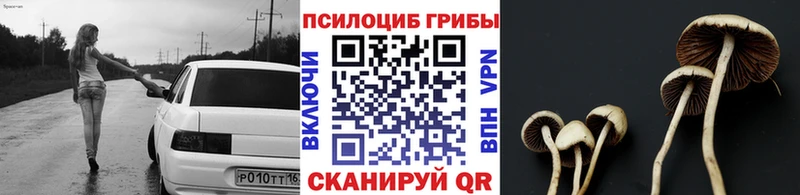 Галлюциногенные грибы Psilocybe  Светлый 